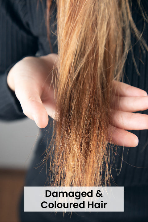 Damaged and Colored Hair