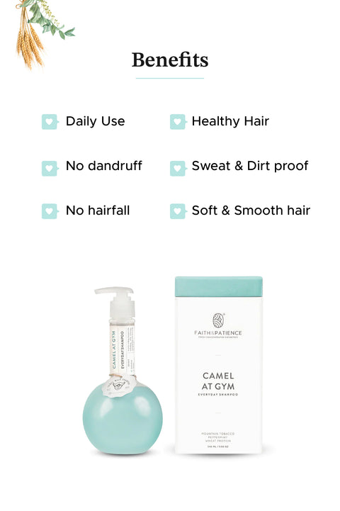 Camel At Gym - Everyday Shampoo