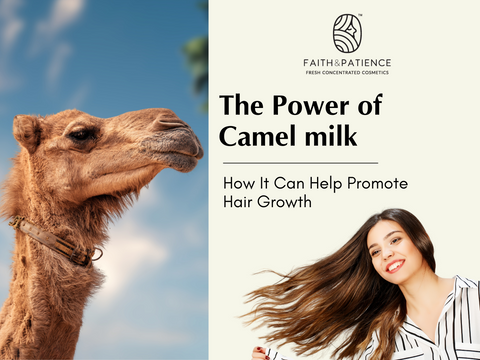 The Power of Camel Milk: How It Can Help Promote Hair Growth