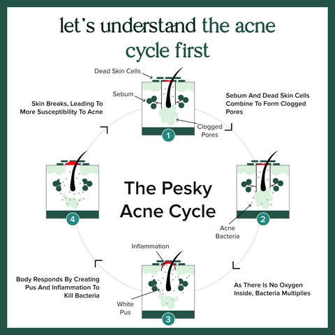 4% Tranexamic Acid 10% Niacinamide Clarifying Face Serum