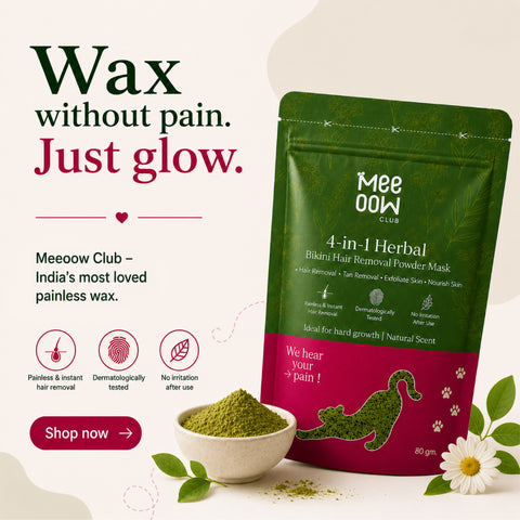 4-in-1 Herbal Bikini Hair Removal Wax Powder Mask