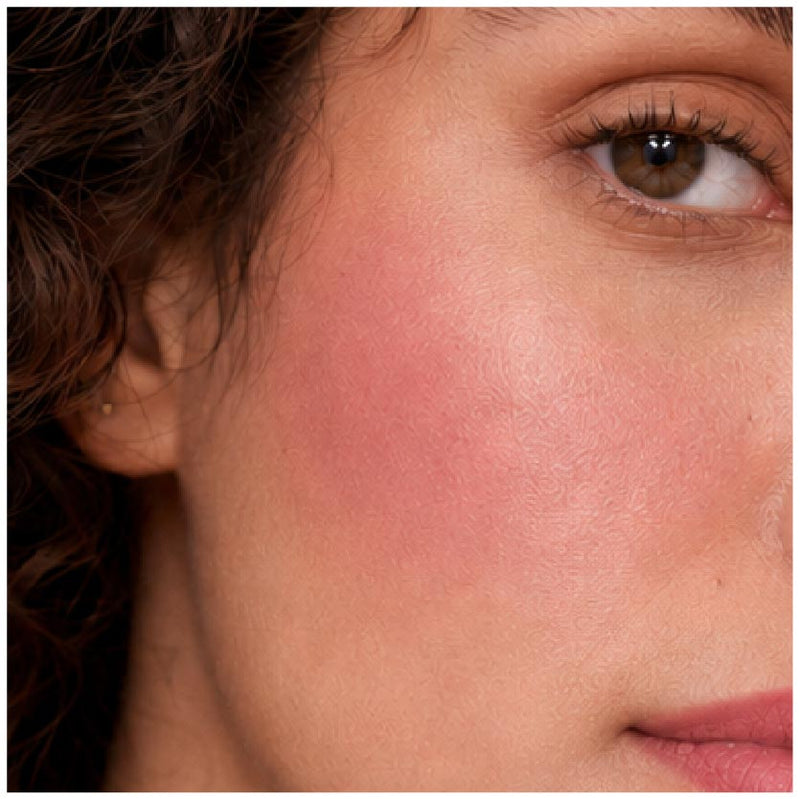 Pout & Blush Blurring Wand